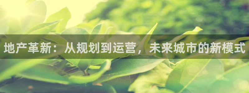 新宝5在哪里：地产革新：从规划到运营，未来城市的新模式