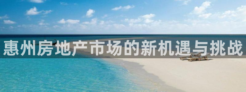 新宝5公司：惠州房地产市场的新机遇与挑战