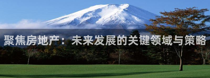 新宝5登陆地址：聚焦房地产：未来发展的关键领域与策略