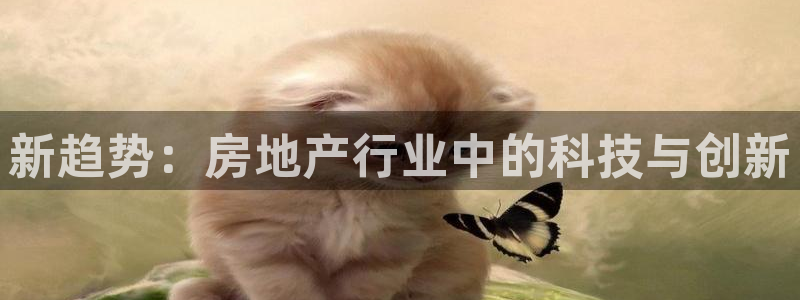 新宝5什么时候上市：新趋势：房地产行业中的科技与创新