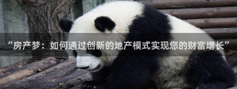 新宝5 测速：“房产梦：如何通过创新的地产模式实现您的财富增