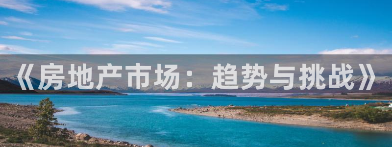 新宝5手机平台登陆：《房地产市场：趋势与挑战》