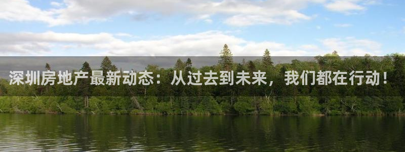 i新宝5：深圳房地产最新动态：从过去到未来，我们都在行动！