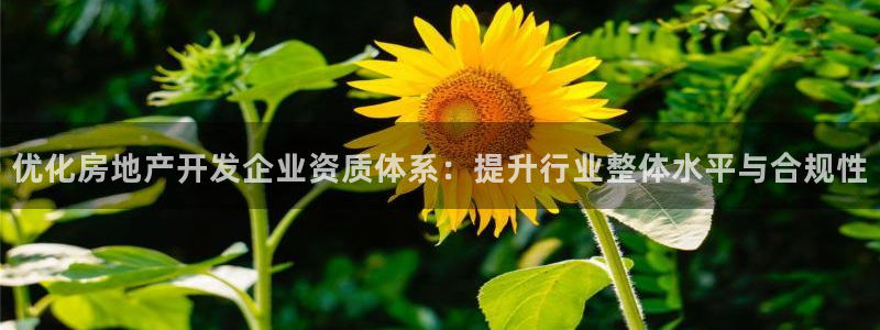 新宝5什么时候上市：优化房地产开发企业资质体系：提升行业整体