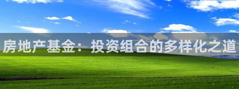新宝5测速：房地产基金：投资组合的多样化之道