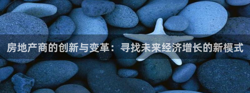 新宝5在哪里：房地产商的创新与变革：寻找未来经济增长的新模式