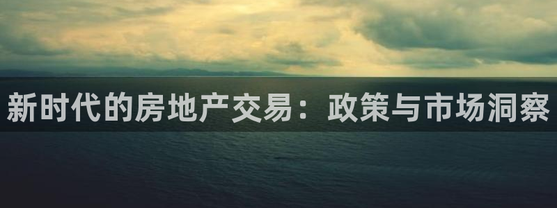 新宝股东张听2 5 5：新时代的房地产交易：政策与市场洞察