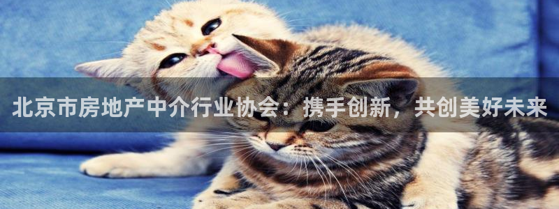 新宝5官网app：北京市房地产中介行业协会：携手创新，共创美