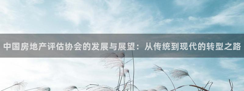 新宝5口67五壹叁八：中国房地产评估协会的发展与展望：从传统