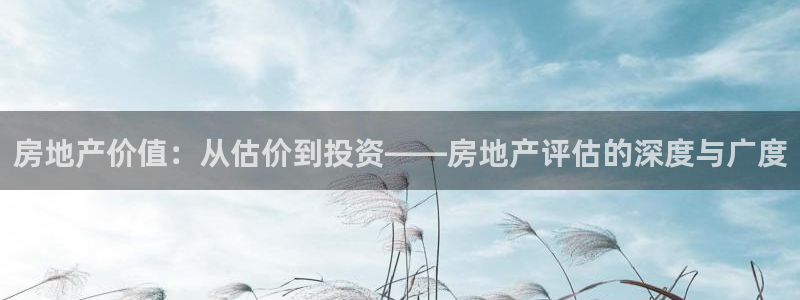 新宝堂新会陈皮5年：房地产价值：从估价到投资——房地产评估的