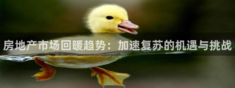 新宝5链接：房地产市场回暖趋势：加速复苏的机遇与挑战