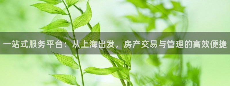 新宝5新宝6顺达：一站式服务平台：从上海出发，房产交易与管理