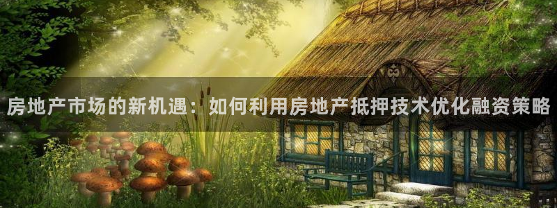 新宝5湫333 00：房地产市场的新机遇：如何利用房地产抵押