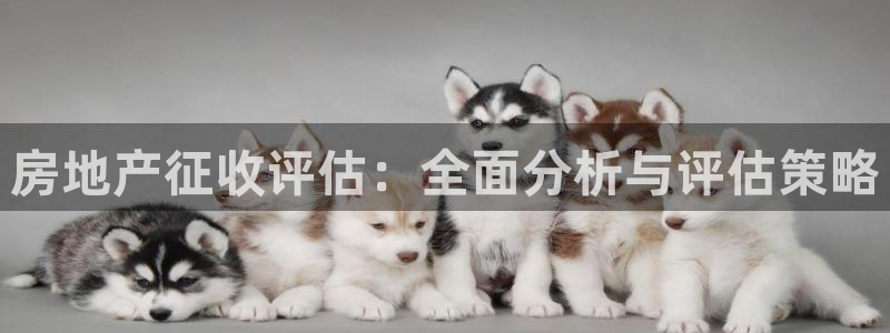 新宝_5：房地产征收评估：全面分析与评估策略