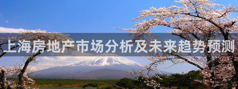 新宝股东王听2 5 5