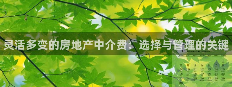新宝5内部：灵活多变的房地产中介费：选择与管理的关键