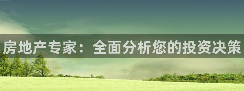 新宝5线路：房地产专家：全面分析您的投资决策