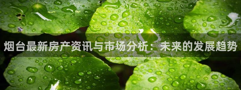 新宝5地址：烟台最新房产资讯与市场分析：未来的发展趋势