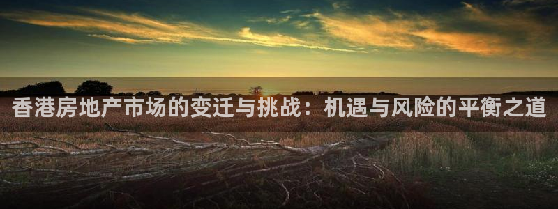 新宝5 注册：香港房地产市场的变迁与挑战：机遇与风险的平衡之