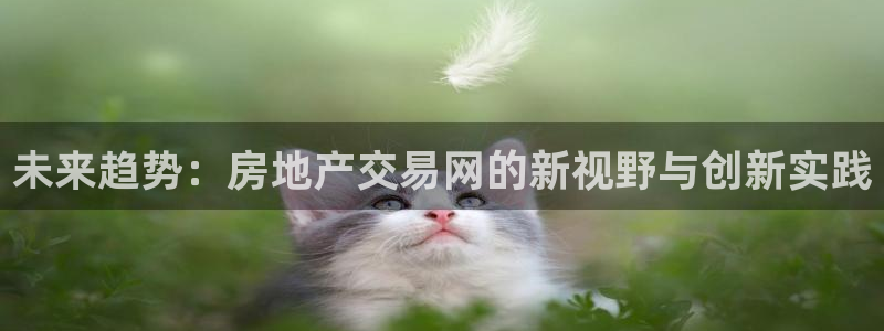新宝5黑彩：未来趋势：房地产交易网的新视野与创新实践