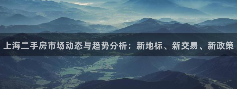 新宝rm5：上海二手房市场动态与趋势分析：新地标、新交易、新