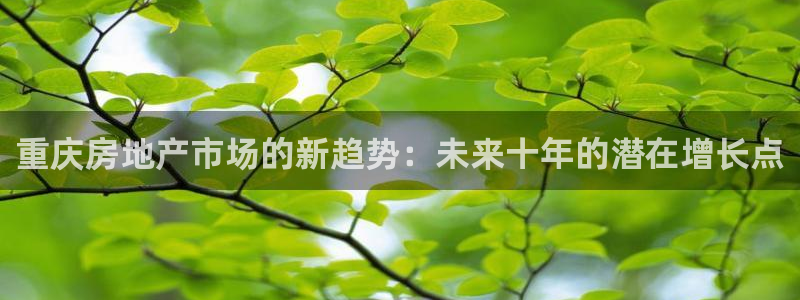 新宝5日：重庆房地产市场的新趋势：未来十年的潜在增长点