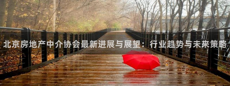新宝5测速线路：北京房地产中介协会最新进展与展望：行业趋势与