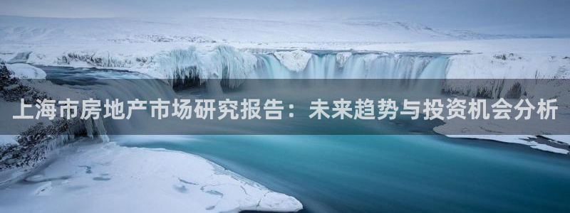 新宝5娱乐网址：上海市房地产市场研究报告：未来趋势与投资机会