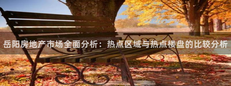 p5r新宝魔：岳阳房地产市场全面分析：热点区域与热点楼盘的比