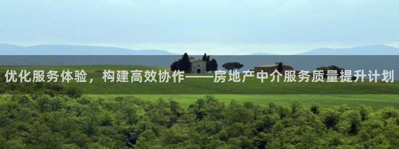 新宝5 888：优化服务体验，构建高效协作——房地产中介服务