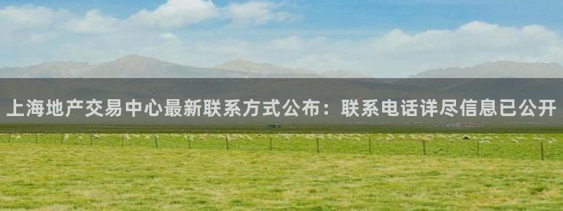 新宝5是谁：上海地产交易中心最新联系方式公布：联系电话详尽信