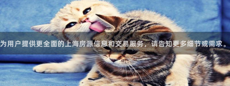 新宝5手机版登录：为用户提供更全面的上海房源信息和交易服务，