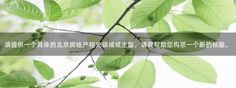 新宝5 注册：请提供一个具体的北京房地产相关领域或主题，请我