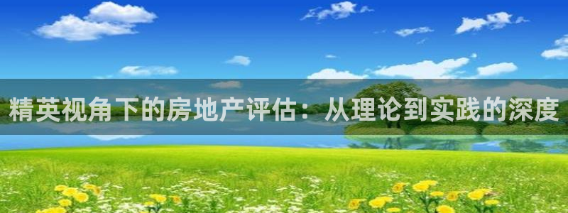 新宝5招商部：精英视角下的房地产评估：从理论到实践的深度