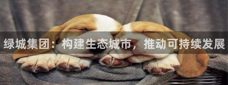 新宝5如何注册登录：绿城集团：构建生态城市，推动可持续发展