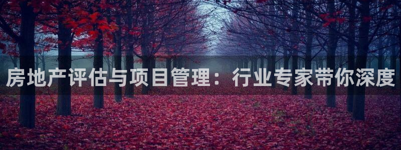 新宝5浗维33 300：房地产评估与项目管理：行业专家带你深