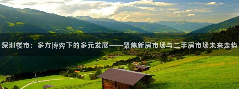 新宝5X：深圳楼市：多方博弈下的多元发展——聚焦新房市场与二