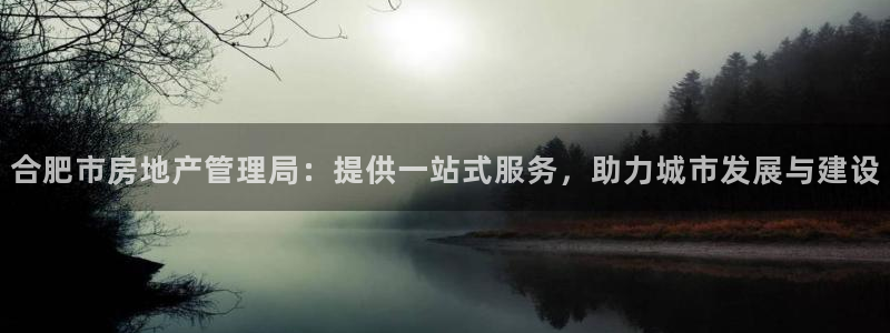 新宝5谠631257：合肥市房地产管理局：提供一站式服务，助