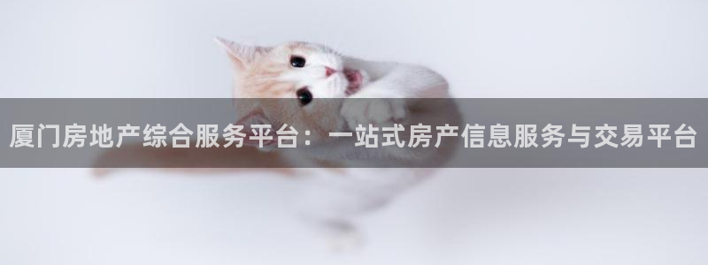 新宝5飞355051：厦门房地产综合服务平台：一站式房产信息
