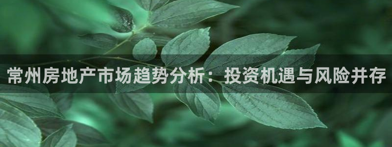 新宝5测速登陆：常州房地产市场趋势分析：投资机遇与风险并存