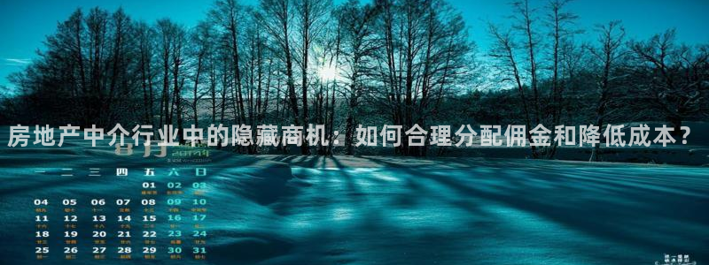 新宝5测试：房地产中介行业中的隐藏商机：如何合理分配佣金和降