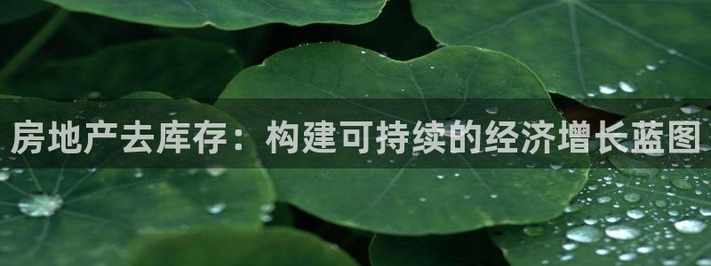 新宝注5册：房地产去库存：构建可持续的经济增长蓝图