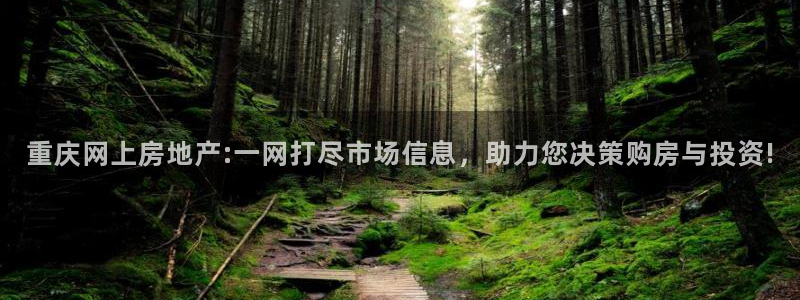 新宝5登录入口网址：重庆网上房地产:一网打尽市场信息，助力您
