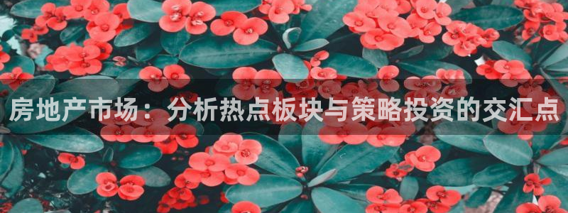 新宝5吕74OOO5：房地产市场：分析热点板块与策略投资的交