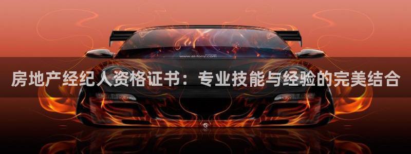 新宝5登录不了：房地产经纪人资格证书：专业技能与经验的完美结