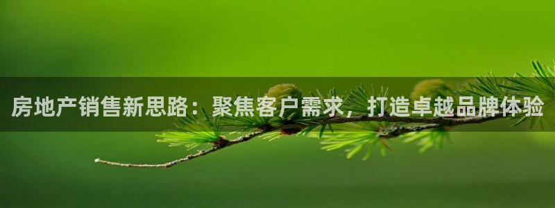 新宝5注册测速登录：房地产销售新思路：聚焦客户需求，打造卓越