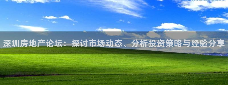 新宝5官网67五壹叁八：深圳房地产论坛：探讨市场动态、分析投