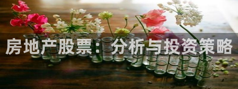 新宝5是谁的：房地产股票：分析与投资策略