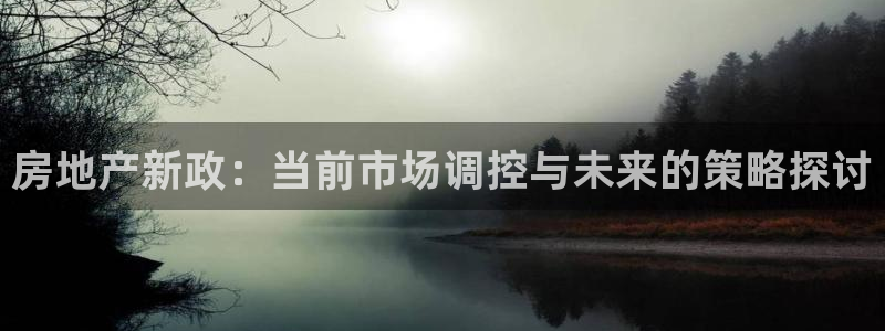 新宝5吕74OOO5：房地产新政：当前市场调控与未来的策略探