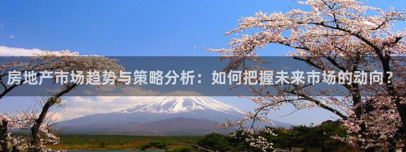 新宝5娱乐招商：房地产市场趋势与策略分析：如何把握未来市场的